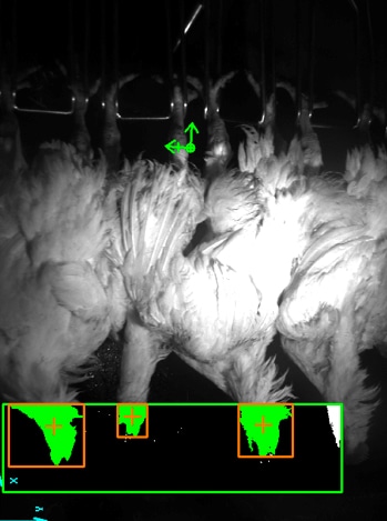 poultry-machine-vision-4